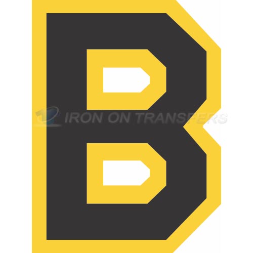Boston Bruins Iron-on Stickers (Heat Transfers)NO.71